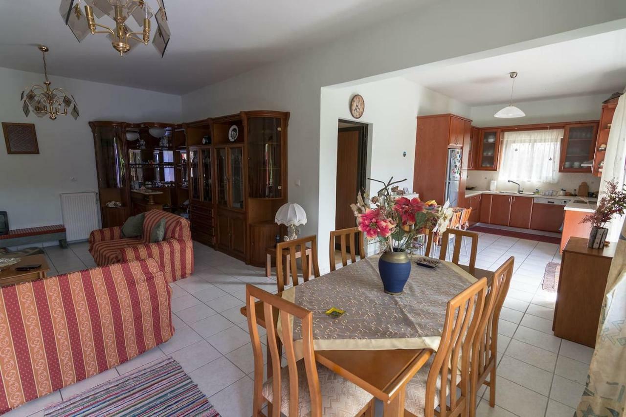 Big Family House In Mesochoria Village エクステリア 写真
