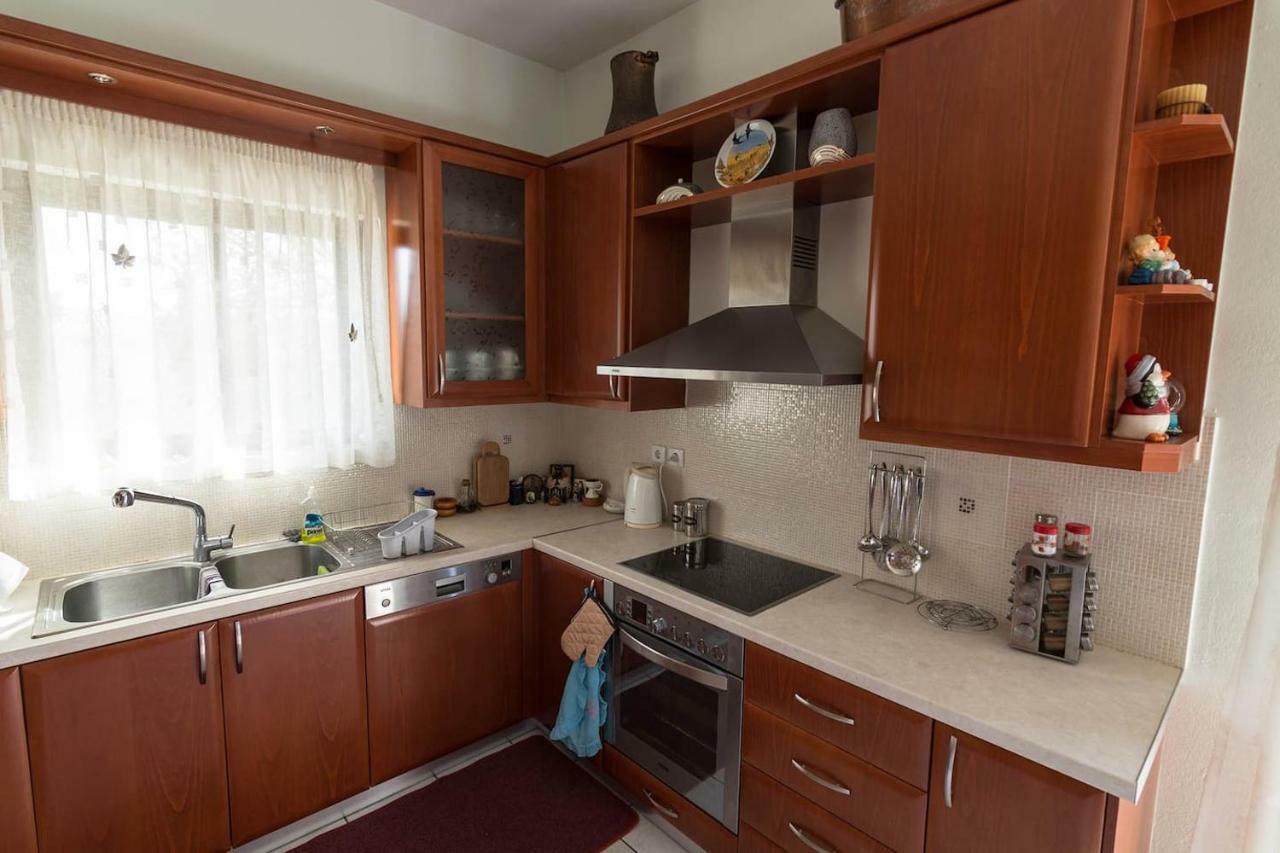 Big Family House In Mesochoria Village エクステリア 写真