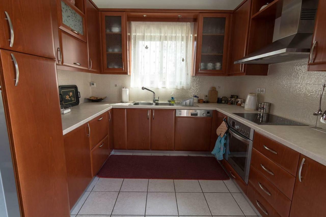 Big Family House In Mesochoria Village エクステリア 写真