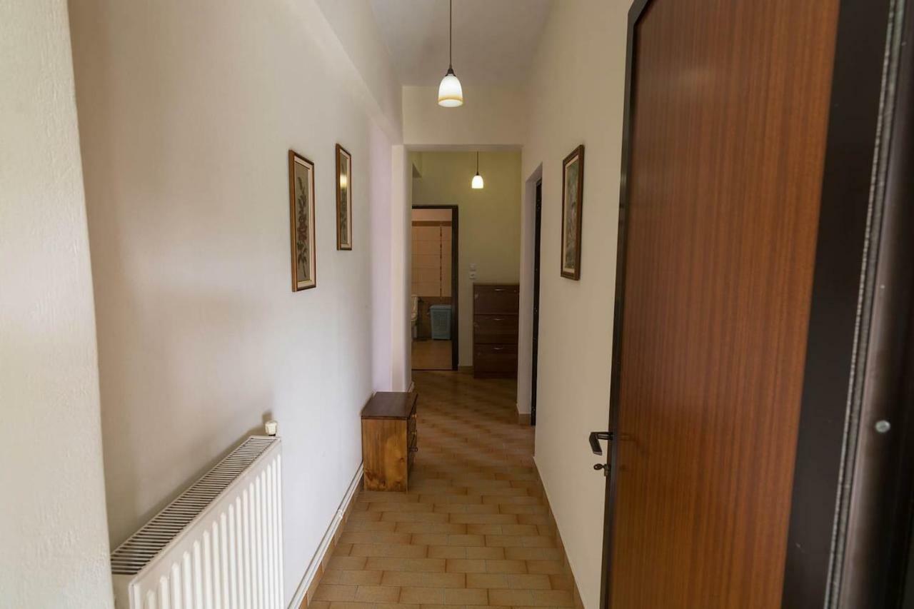Big Family House In Mesochoria Village エクステリア 写真